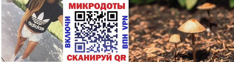 купить  цена  Нея  Галлюциногенные грибы Psilocybe 