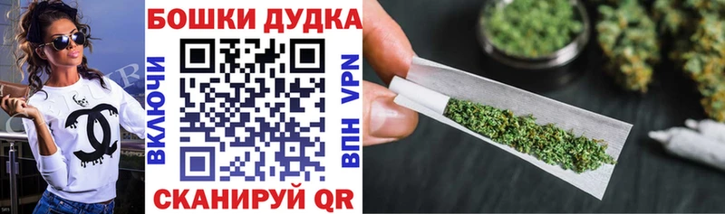 Конопля сатива Нея